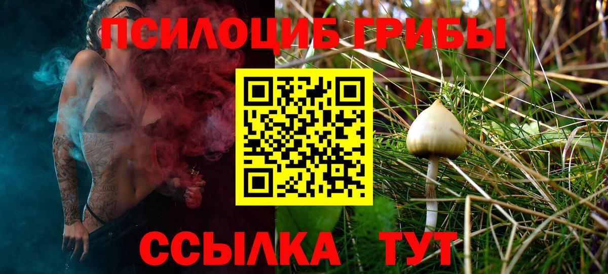 Галлюциногенные грибы прущие грибы Урус-Мартан